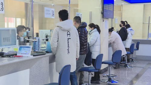 黑龍江 稅務服務推 三化 營商環(huán)境有變化